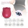 Discreet 10 Speed Personal Massage Rose Vibrator sucking Massager for Women
